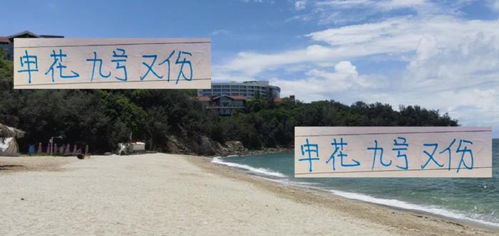 开云官方平台-申花9号又伤了！跟武汉三镇比赛是靠猴哥 还是靠阿苏埃